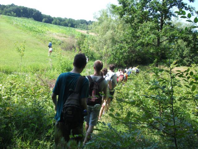 Савановим стазама